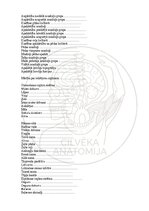 E-grāmata 'Cilvēka anatomija: galvaskauss', 33.