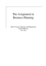 Referāts 'The Assignment in Business Planning', 1.