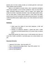 Prakses atskaite 'Valsts nobeiguma prakse sociālajā darbā ar ģimenēm, kas audzina bērnu invalīdu, ', 19.