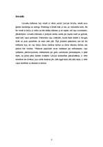 Referāts 'Strēlnieku motīvs literatūrā un mākslā', 4.