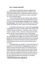 Referāts 'Strēlnieku motīvs literatūrā un mākslā', 5.