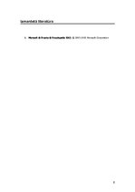 Eseja 'Mūsdienu mikromehānikas tehnoloģijas', 6.