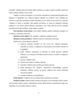 Diplomdarbs 'Vadīšanas procesa aspektu analīze uzņēmumā SIA "Ķieģelis"', 8.