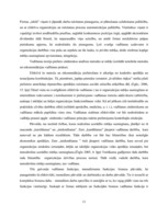 Diplomdarbs 'Vadīšanas procesa aspektu analīze uzņēmumā SIA "Ķieģelis"', 11.