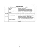 Diplomdarbs 'Vadīšanas procesa aspektu analīze uzņēmumā SIA "Ķieģelis"', 22.