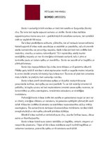 Eseja 'Pētījums par bordo krāsu', 1.