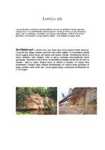 Konspekts 'Latvijas ieži', 1.