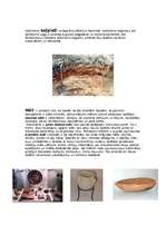 Konspekts 'Latvijas ieži', 2.