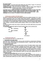 Konspekts 'Tiesību teorija', 33.