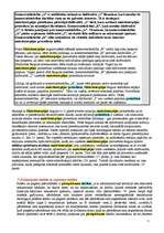 Konspekts 'Tiesību teorija', 73.