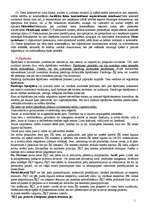 Konspekts 'Tiesību teorija', 100.