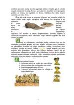 Referāts 'Viduslaiku apģērbs', 3.