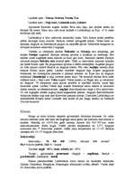 Referāts 'Lielbritānija', 2.