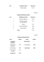 Biznesa plāns 'Datortehnikas izplatīšanas uzņēmuma biznesa plāns', 14.