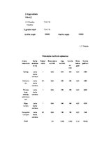 Biznesa plāns 'Datortehnikas izplatīšanas uzņēmuma biznesa plāns', 15.