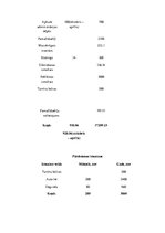 Biznesa plāns 'Datortehnikas izplatīšanas uzņēmuma biznesa plāns', 17.