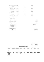 Biznesa plāns 'Datortehnikas izplatīšanas uzņēmuma biznesa plāns', 20.