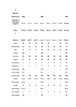 Biznesa plāns 'Datortehnikas izplatīšanas uzņēmuma biznesa plāns', 21.