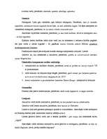 Referāts 'K.Fīrekera rakstības un valodas īpatnību apskats', 2.