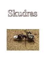 Referāts 'Skudras', 1.