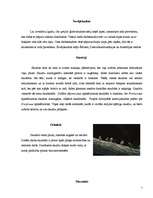 Referāts 'Skudras', 5.