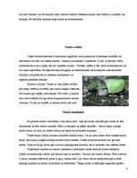 Referāts 'Skudras', 9.