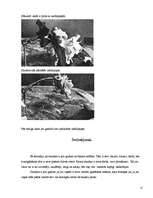 Referāts 'Skudras', 12.