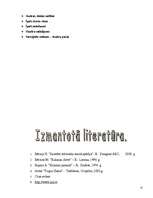 Referāts 'Skudras', 13.