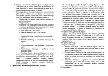 Konspekts 'Eksāmena jautājumi. Saistību tiesības', 4.