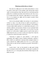 Eseja 'Plānošanas priekšrocības un trūkumi', 1.