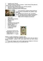 Konspekts 'Aglona', 2.