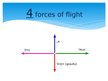 Prezentācija 'Principle of Flight', 3.