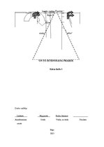 Referāts 'Darba motivācijas teorijas un to īstenošana praksē', 1.