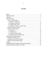 Referāts 'Darba motivācijas teorijas un to īstenošana praksē', 2.