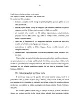 Referāts 'Darba motivācijas teorijas un to īstenošana praksē', 18.