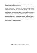 Referāts 'Darba motivācijas teorijas un to īstenošana praksē', 19.