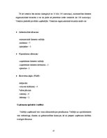 Biznesa plāns 'Viesnīcas attīstības projekts', 10.