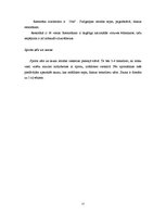 Biznesa plāns 'Viesnīcas attīstības projekts', 15.