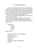 Biznesa plāns 'Viesnīcas attīstības projekts', 19.
