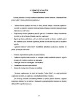 Biznesa plāns 'Viesnīcas attīstības projekts', 27.