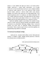 Prakses atskaite 'Prakses atskaite SIA "xxx"', 8.