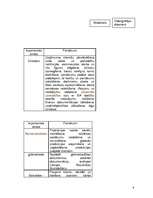 Prakses atskaite 'Prakses atskaite SIA "xxx"', 9.