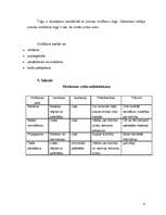 Prakses atskaite 'Prakses atskaite SIA "xxx"', 12.