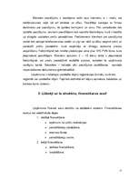 Prakses atskaite 'Prakses atskaite SIA "xxx"', 17.