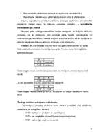 Prakses atskaite 'Prakses atskaite SIA "xxx"', 22.