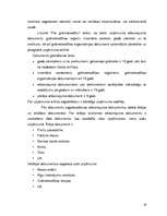 Prakses atskaite 'Prakses atskaite SIA "xxx"', 29.