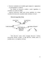 Prakses atskaite 'Prakses atskaite SIA "xxx"', 33.