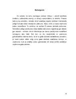 Prakses atskaite 'Prakses atskaite SIA "xxx"', 39.