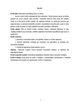 Referāts 'Marihuānas legalizēšana - ieguvumi un zaudējumi', 5.