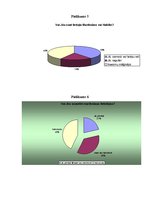 Referāts 'Marihuānas legalizēšana - ieguvumi un zaudējumi', 24.